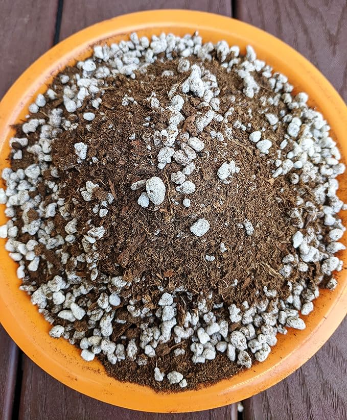 Succulent & Cactus Plant Potting Soil Mix Peat Moss & Perlite, 1 Quart (1qt 4 Level Cups)