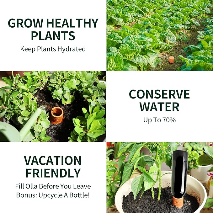 Soilagua 16 oz Ollas Self Watering Terracotta Pots, Olla Plant Watering Globes, Self Watering Planter Insert for Outdoor & Indoor Plants, Vacation Watering Devices Spikes Waterer System, 2 Pack