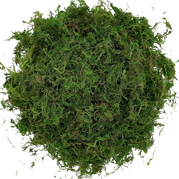 USMOLA Artificial Moss 16oz – Fake Moss for Crafts, Fairy Gardens, Wedding & Party Decor, Centerpieces & Potted Plants (Fresh Green, 455g)