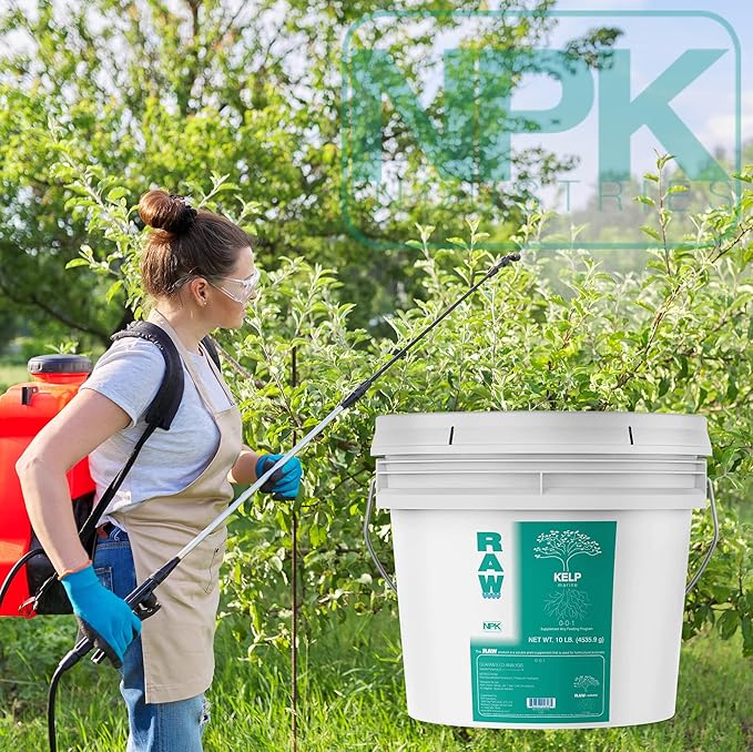 RAW Kelp – Premium Ocean-Derived Kelp Extract