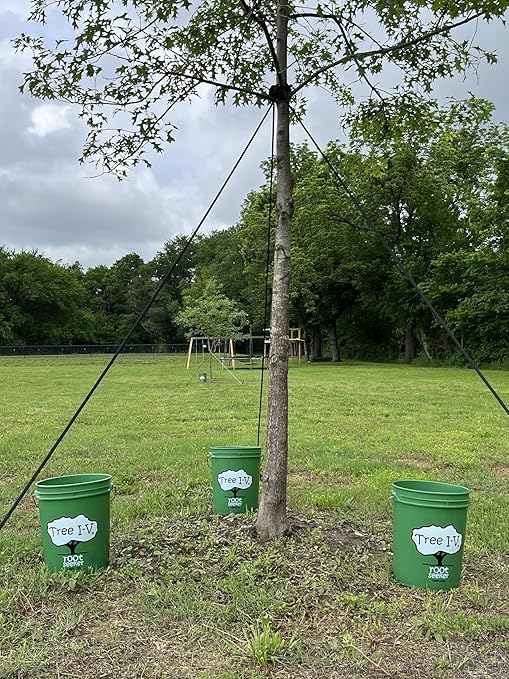 Tree I-V 6-Pk Original Base Root Feeder Watering System - Durable Self-Supported 5-Gal Reservoir with No-Hands Filling - Water 6 Trees in 6 Minutes - Weekly