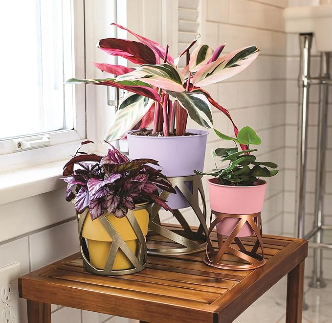 The HC Companies 5 inch Indoor Plant Pot with Stand – Small Curio Blush Planter with a Geometric Stand in a Copper Finish