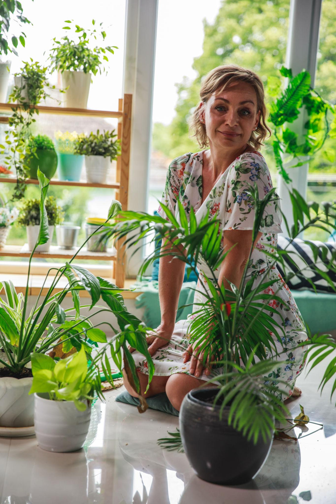 Why Are My Indoor Plants Dying?