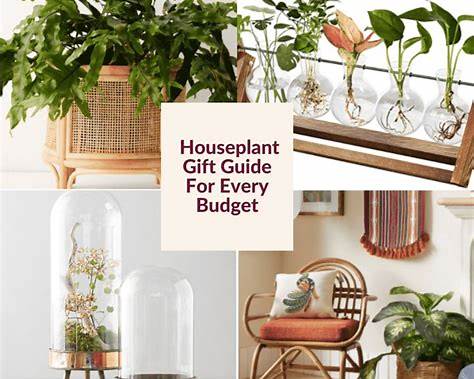 Best Gardening Gifts for Plant Lovers