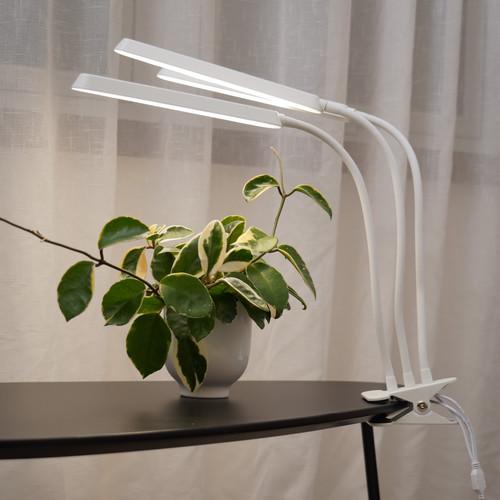 Best LED Grow Lights for Indoor Plants