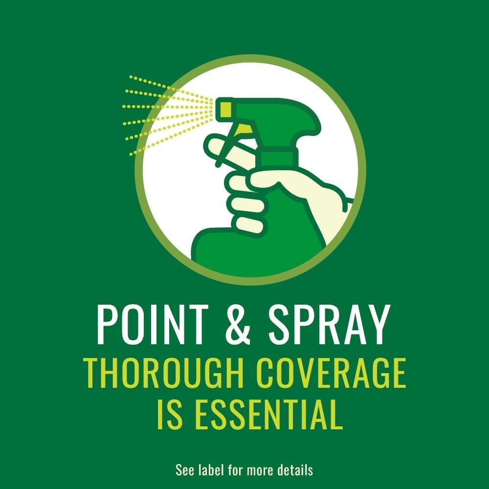 neem oil spray