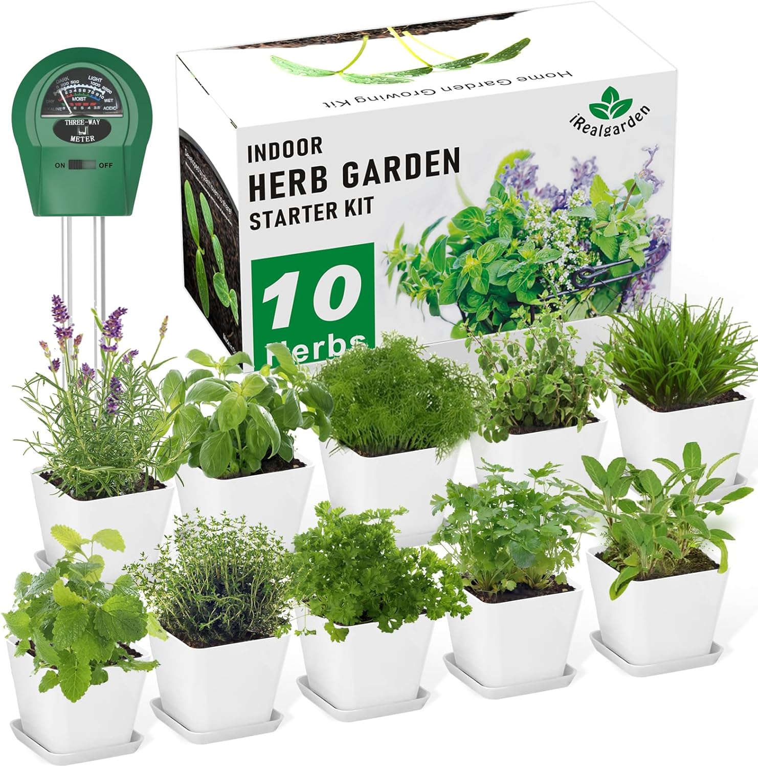 indoor herb garden kit