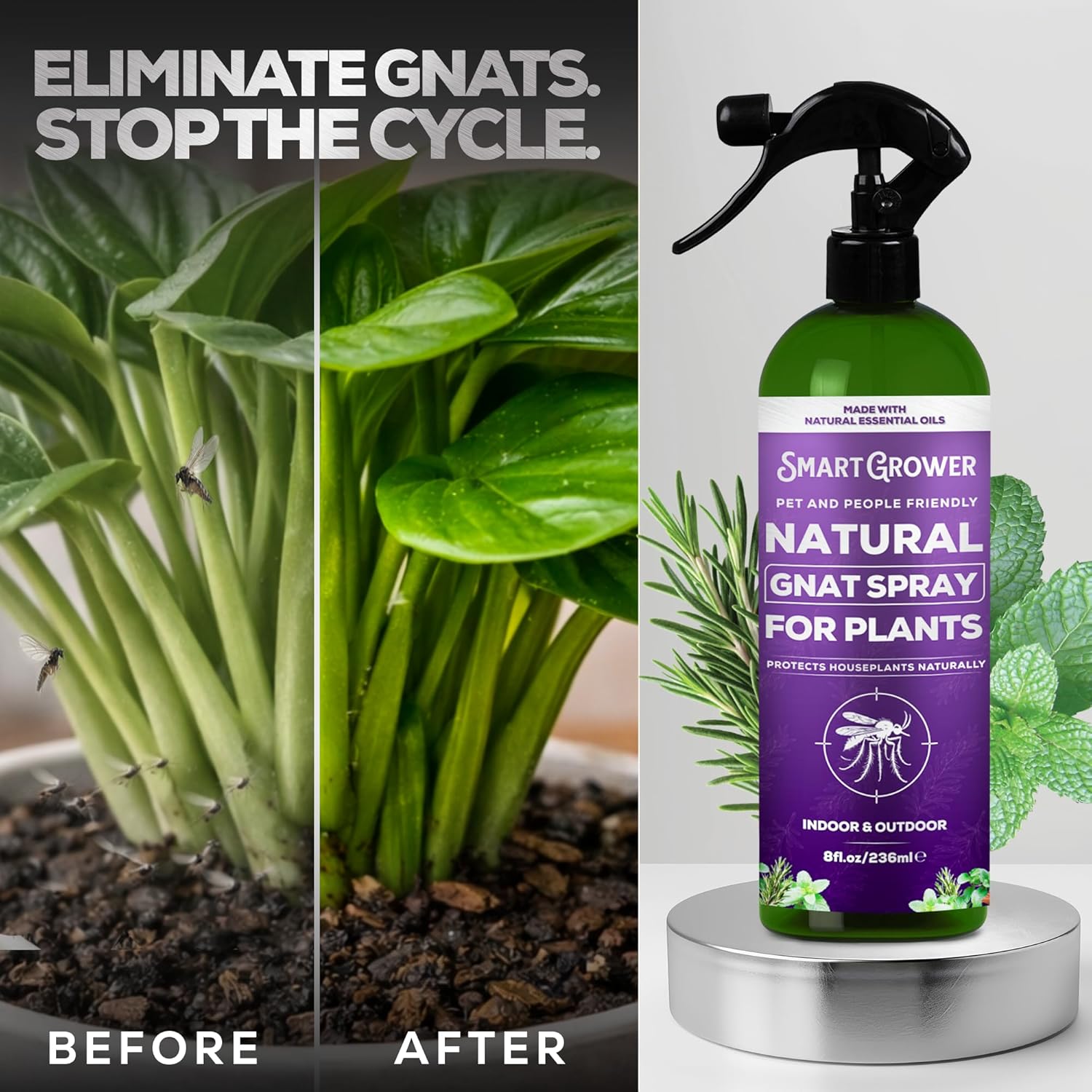 plant disease treatment