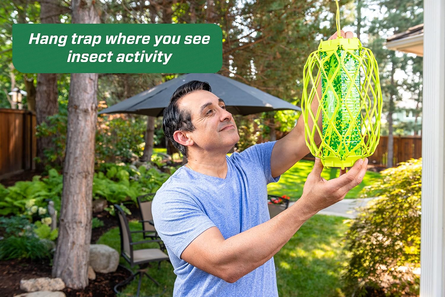 bug traps