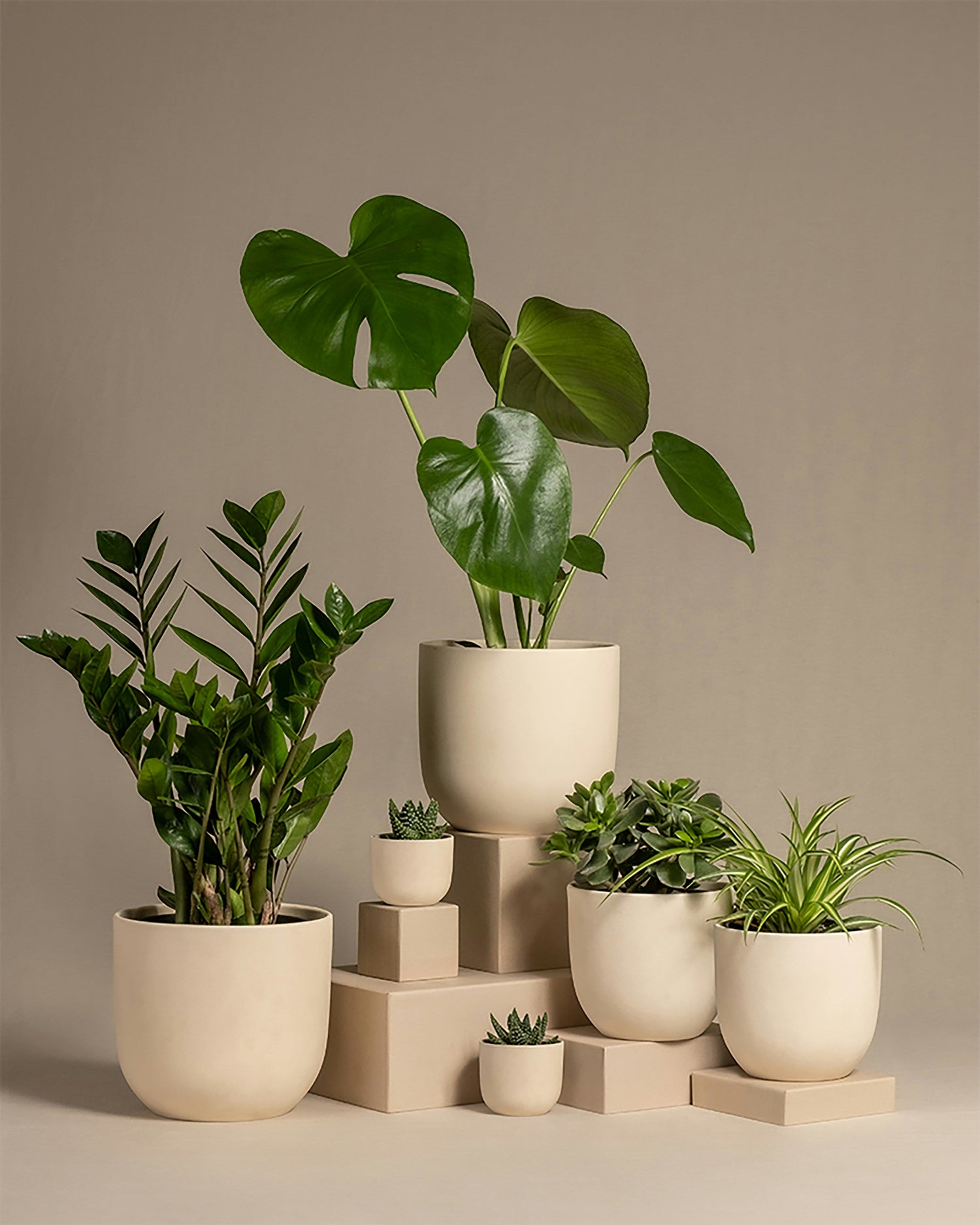 plant pots