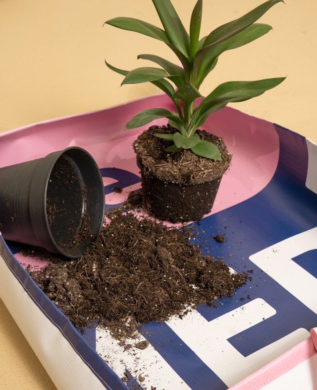 repotting mat