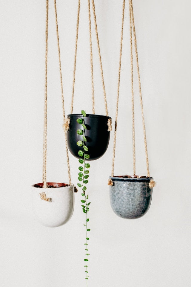 hanging plant pots