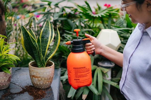 plant vitamins