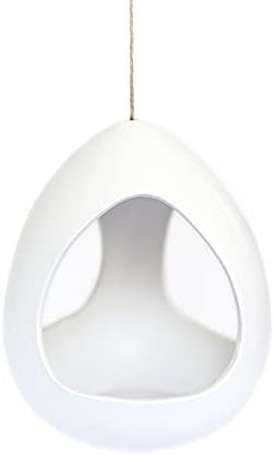 Large White Ceramic Hanging Pod with Xerographica Air Plant - Live Tillandsia in Plant Holder - Wholesale and Bulk - Home and Garden Decor - Easy Care Indoor and Outdoor Plants