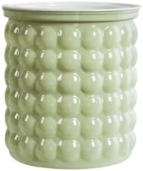 2PCS Self Watering Planters 4.7 Inch Self Watering Pots for Indoor Plants, African Violet Pots with Wick Rope, Flowers, Succulents, Herb, House Plants (Green)