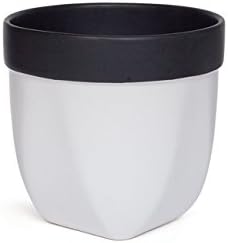 Hosley Grower Versa Pot Planter, 5 Inch - Perfect for Home Decor, Kitchen Decor & Planters for Outdoor Plants, Ideal for Office, Weddings, Floral Arrangements & Spa Settings