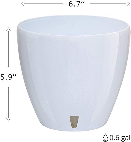 Santino 6.7 Inch Deco Self Watering Pots for Indoor Plants in Jade (Set of 3) - Decorative Flower Pot with Water Level Indicator and Drainage Cartridge for All House Plants, Flowers and Herbs
