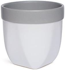 Hosley Grower Versa Pot Planter, 5 Inch - Perfect for Home Decor, Kitchen Decor & Planters for Outdoor Plants, Ideal for Office, Weddings, Floral Arrangements & Spa Settings