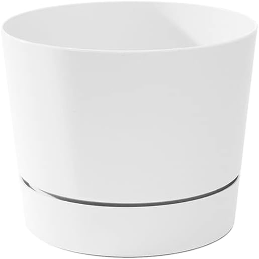 Root & Vessel Majestic Mid-Century Modern Low Profile Cylinder Pot, Matte White, 6.5"