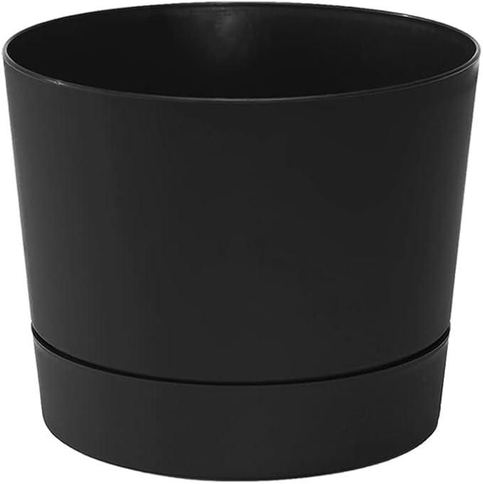 Root & Vessel Majestic Mid-Century Modern Low Profile Cylinder Pot, Matte Black, 10.5"