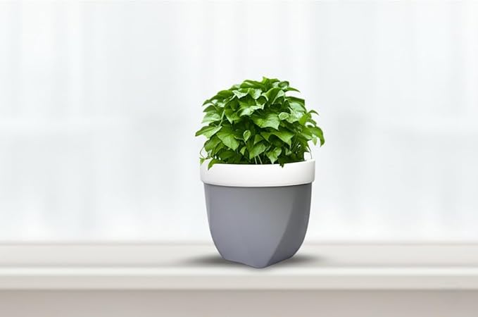 Hosley Grower Versa Pot Planter, 5.9 Inch - Perfect for Home Decor, Kitchen Decor & Planters for Outdoor Plants, Ideal for Office, Weddings, Floral Arrangements & Spa Settings