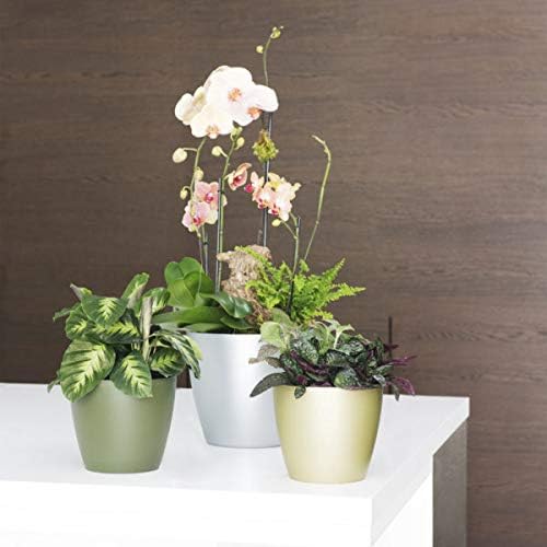 Crescent Too Eva Small Decorative Planter Modern Pot for Plants, Flowers, Herbs & Succulents, No Drain Hole - 12" W, White (Pack of 2)