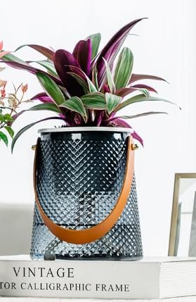 Self Watering Planters 5.9 Inch Self Watering Pots for Indoor Plants, African Violet Pots with Wick Rope, Flowers, Succulents, Herb, House Plants (Gray Color)