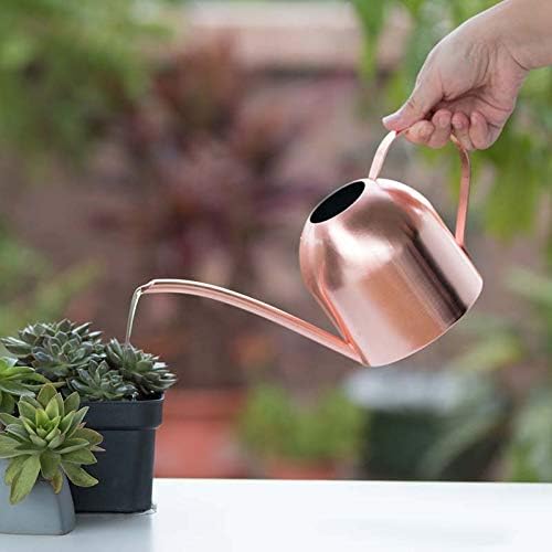 Small Watering Can for Indoor Plants, 15oz/450ml Stainless Steel Long Spout Watering Can for Succulents, Herbs (Rose Gold)
