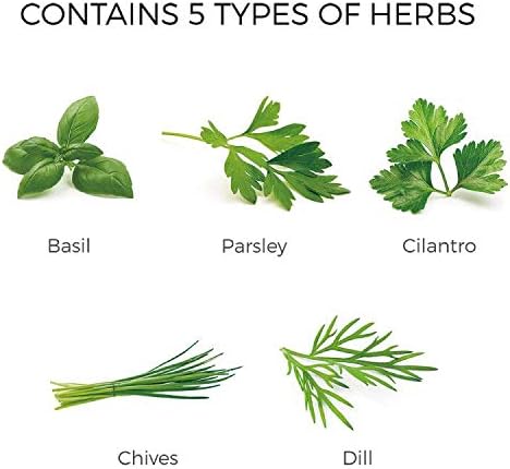 Herb Garden Kit - Seed Starter Kit for Indoor Herb Gardening. Grow 5 Popular Herbs- Basil,Parsley,Cilantro,Chives,Dill. Ideal for Beginners & Gardening Gifts
