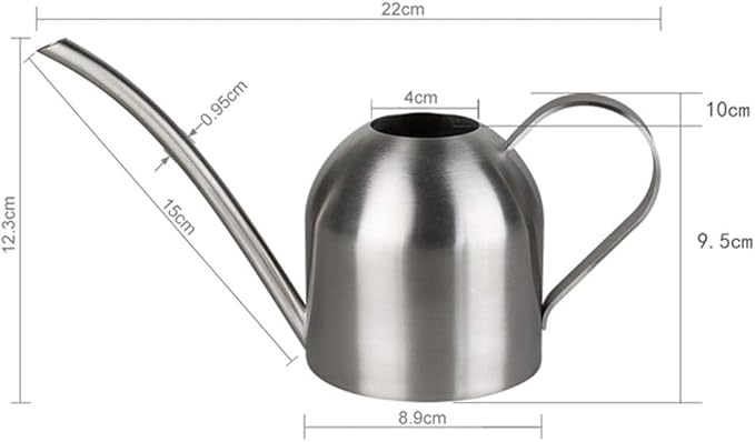 Small Watering Can for Indoor Plants, 15oz/450ml Stainless Steel Long Spout Watering Can for Succulents, Herbs (Silver)