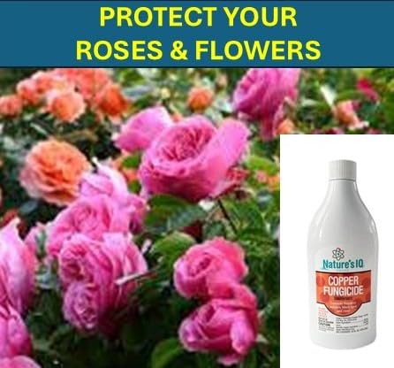 Nature's IQ Copper Fungicide. Controls powdery Mildew, Black spot, and Rust! for use on Roses, Flowers, ornamentals, Fruits, Vegetables, and lawns. Concentrate 16oz.