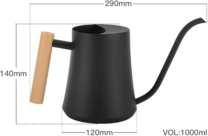 Epalace Indoor Watering Can Stainless Steel Watering Can for Indoor Plants with Long Spout, 35oz/1L