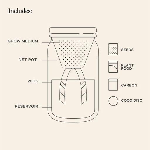 Modern Sprout Glass Jar Grow Set, Indoor Herb Garden, Seed Starter Set, Organic, Non-GMO, Basil