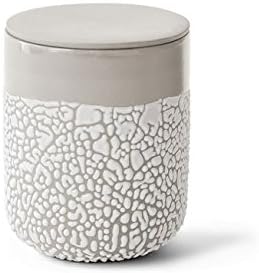 Hosley Lichen Box 5 Inch High Ivory - Ideal Storage Gift for Wedding, Home Decor, Room Decor, Study Knickknacks, Trinkets, Planter, Outdoor Faux Plants