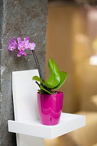 Santino 5.9 Inch ORCHIDEA Self Watering Pots for Orchids in Blue (Set of 3) - Decorative Wicking Planter with w/Great Aerification, Drainage and Water Level Indicator