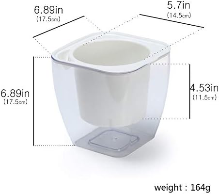 FENGZHITAO Self-Watering Planter, Clear Plastic Automatic-Watering Planter Flower Pot Square-Plant-Pot for All Plants, Succulents, Herb, African Violets, Flowers (Clear L)