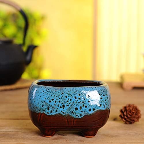Cute Circular Ceramic Home Garden Decoration Succulent Cactus Flower Pots Container -Plant Not Included (Blue, 4.7 Inch)