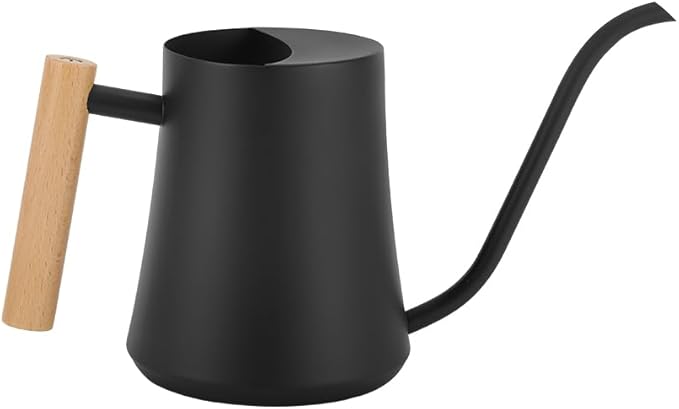 Epalace Indoor Watering Can Stainless Steel Watering Can for Indoor Plants with Long Spout, 35oz/1L