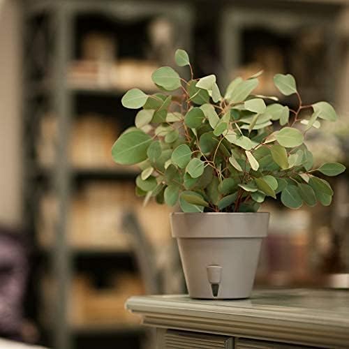 DECOPOTS - Pack of 3 - Self Watering Planter - Height 6.9 inches - Flower Pot with Bottom Watering Level Indicator for All House Plants, Flowers, Herbs (Diameter 7.9", Shade)