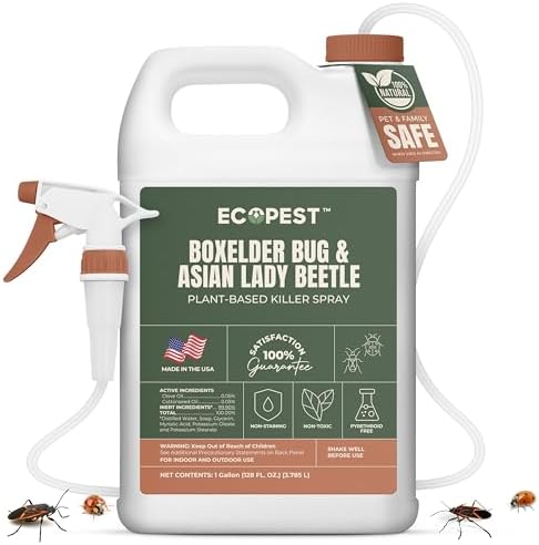 Boxelder Bug & Asian Lady Beetle Spray – Natural, Plant-Based Indoor & Outdoor Killer | Non-Staining, Safe for Doors, Windows, Siding & Baseboards | Child & Pet Safe, Low Odor, Eco-Friendly (1 Gallon)