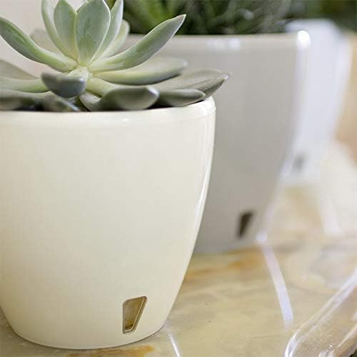 Santino, Self Watering Planter Deco 8.8 Inch, Cream, Indoor Decorative Flower Pot with Drainage Cartridge and Water Level Indicator