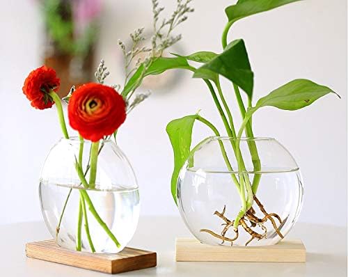 Kingbuy Round Glass Desktop Planter with Wooden Stand - Propagation Vase for Hydroponic Plants, Spider Plants, Pothos in Home Office Decor, 2-Pack, Beige
