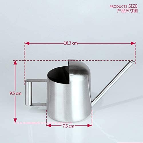 Mini Watering Can, 10oz/300ml Stainless Steel Long Spout Small Watering Can for Indoor Plants Succulents, Herbs (Silver)