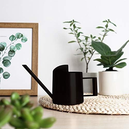 Watering Cans, 10oz/300ml Stainless Steel Long Spout Small Watering Sprinkling Pot, Indoor Outdoor Garden Flower Succulents Plant Watering Cans, Stylish Gardening Decoration(Black)