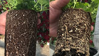 Obtego Fungicide and Plant Symbiont 5 lb