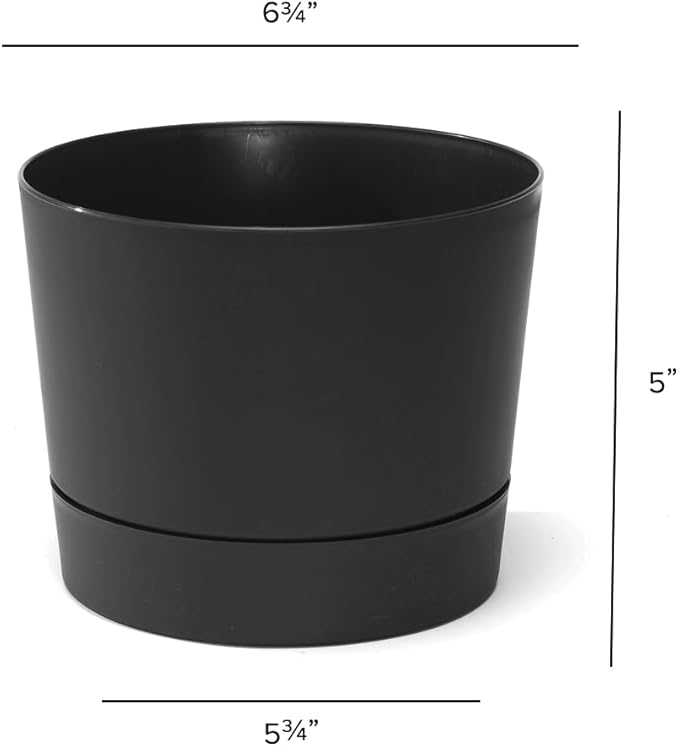 Root & Vessel Majestic Mid-Century Modern Low Profile Cylinder Pot, Matte Black, 6.5"
