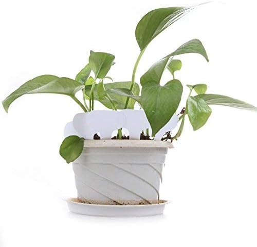 KINGLAKE 100 Pcs White Plastic Plant Labels Waterproof T-Type Plant Tag Nursery Flower Garden Labels