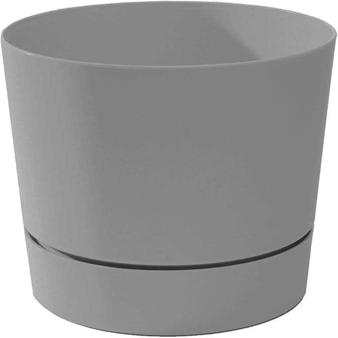 Root & Vessel Majestic Mid-Century Modern Low Profile Cylinder Pot, Matte Gray, 8.5"