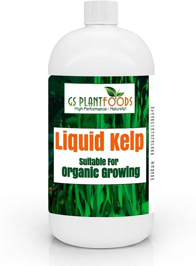 GS Plant Foods Liquid Kelp Fertilizer – Suitable for Organic Growing, OMRI Listed Seaweed Concentrate for Flowers, Gardens, Vegetables & Soil - 1 Quart (Makes Up to 200+ Gallons)