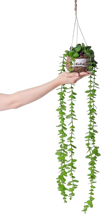 Artificial Plastic Plant Vine Small Hanging Basket Ornament for Indoor Walls, Shelves, Cabinets, Kitchens, Studies, Desks, Living Rooms 3.5-Inch Basket (Round Leaf B)
